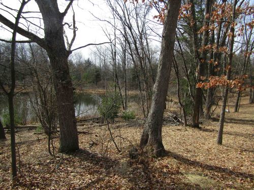 00_VL W Caribou Trail, Churchill Township, MI, 48661 | Card Image
