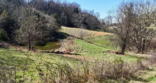 0 Browning Branch Rd, Home with 0 bedrooms, 0 bathrooms and null parking in Bethpage TN | Image 9
