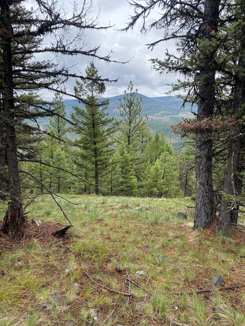 1444 Haskill Ranch Rd, Kila, MT, 59920 | Card Image