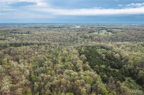 Tract 2 Cleavesville Road, Bland, MO, 65014 | Card Image