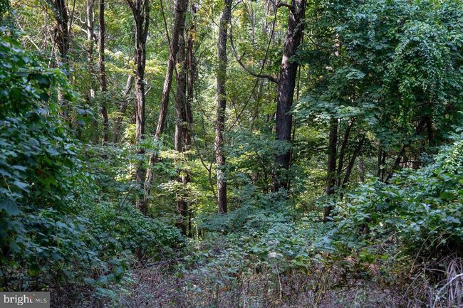 Lot 3 Price Ridge Rd, Home with 0 bedrooms, 0 bathrooms and null parking in STANLEY VA | Image 40