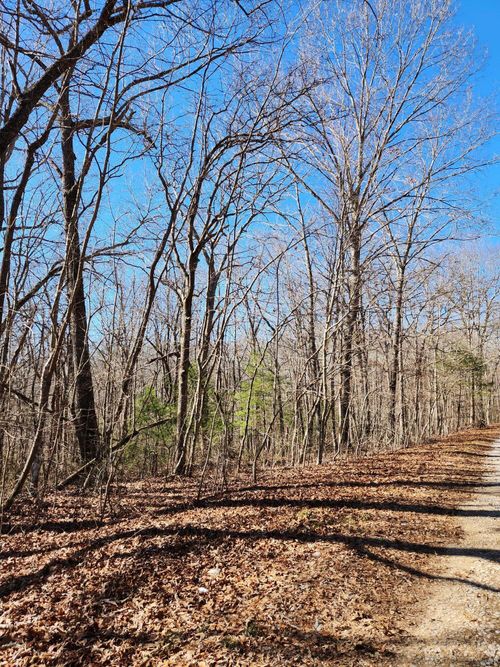 22 Devon Loop, Crossville, TN, 38558-8892 | Card Image