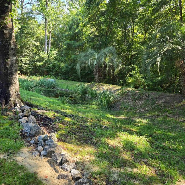 View of yard | Image 40