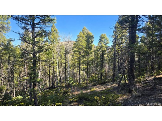 6034 Wood Rd, Home with 0 bedrooms, 0 bathrooms and null parking in San Luis CO | Image 4