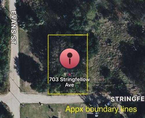 703 Stringfellow Ave, Marlin, TX, 76661-3431 | Card Image