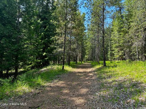 TBD Careywood Rd, Careywood, ID, 83809 | Card Image