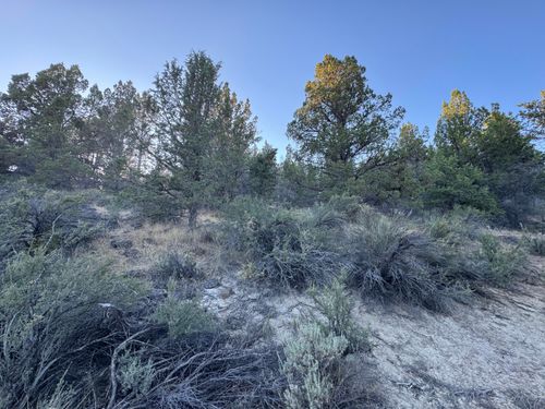 7-0 Shasta St, Chiloquin, OR, 97624 | Card Image