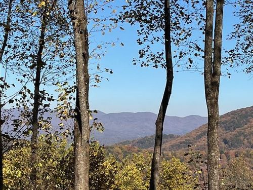 1189 Walnut Rdg, Ellijay, GA, 30536-2676 | Card Image