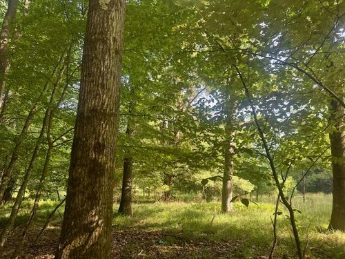 0 Neiltown Road, Pleasantville, PA, 16341 | Card Image