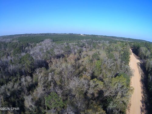 TBD Olivia Drive, Alford, FL, 32420 | Card Image