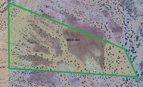 lot 423 Woodland Valley Ranch, St. Johns, AZ, 85936 | Card Image