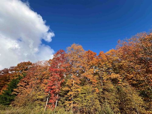 TBD Old Horton Bay Rd, Boyne City, MI, 49712 | Card Image