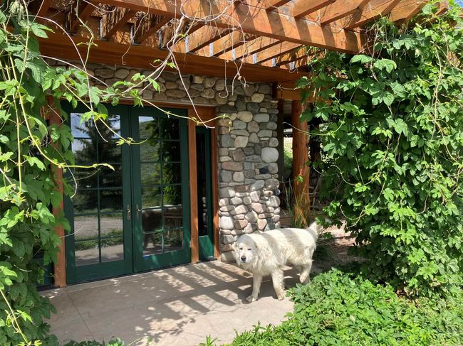 1262 N Soldier Creek Rd, House other with 3 bedrooms, 3 bathrooms and 5 parking in Fairfield ID | Image 9