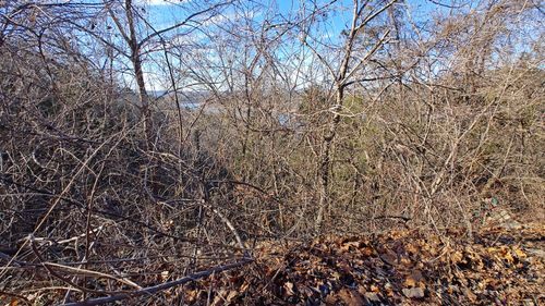 Lot 54 Skylee Drive, Hollister, MO, 65672 | Card Image