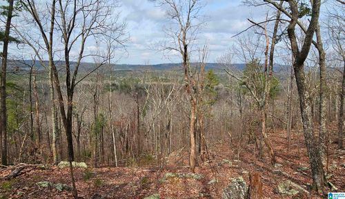 64-438 Stonegate Dr, BIRMINGHAM, AL, 35242-7084 | Card Image