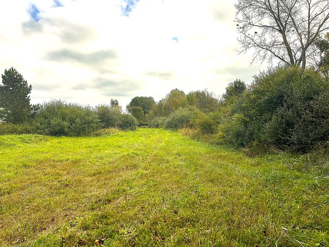 11 Siegel Rd, Home with 0 bedrooms, 0 bathrooms and null parking in Emmett MI | Image 4