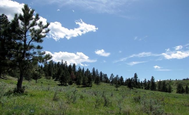 SC-25 - TBD Lone Rock Canyon Lane, Home with 0 bedrooms, 0 bathrooms and null parking in Hysham MT | Image 45