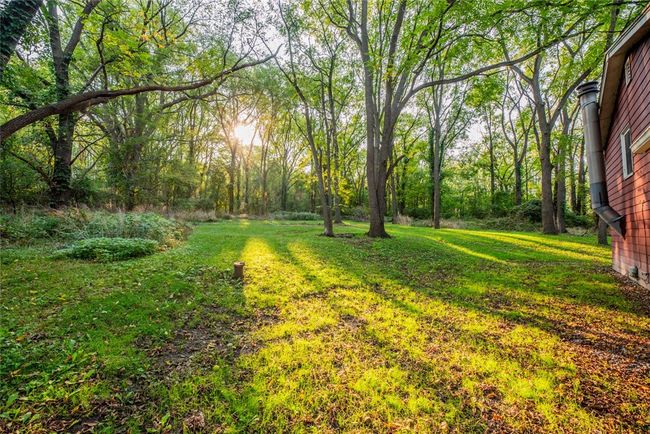 private tree-lined backyard | Image 34
