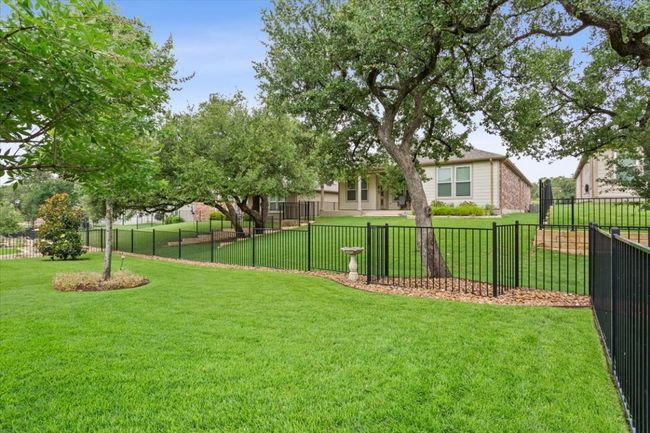 View of backyard | Image 36