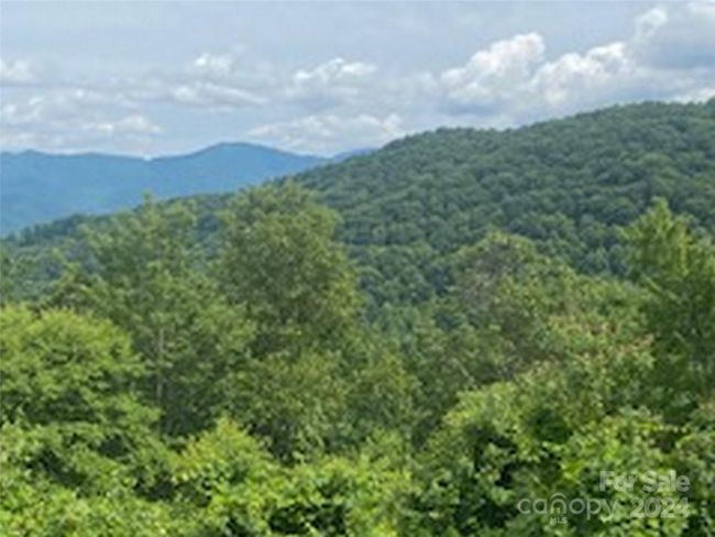 11 - 99999 Curtis Creek Rd, Home with 0 bedrooms, 0 bathrooms and null parking in Candler NC | Image 8
