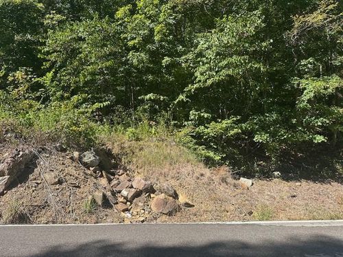 lot-364a-LOT 364A Wilder Hwy, Wilder, TN, 38589 | Card Image