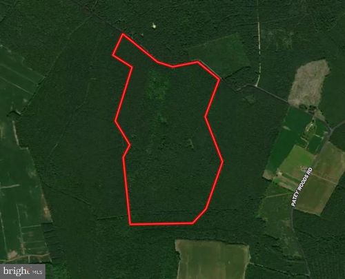 0 Patey Woods Rd, NEWARK, MD, 21841 | Card Image