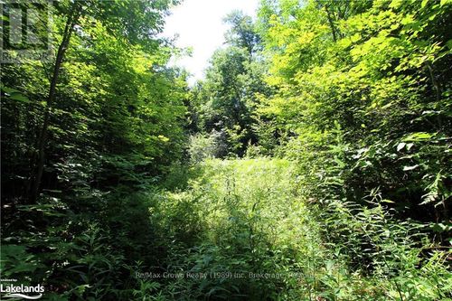 0A 20th Side Rd, Parry Sound Remote Area (McConkey), ON, P0H1Y0 | Card Image