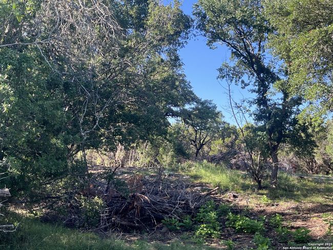 0 Rolling Crk, Home with 0 bedrooms, 0 bathrooms and null parking in Spring Branch TX | Image 15