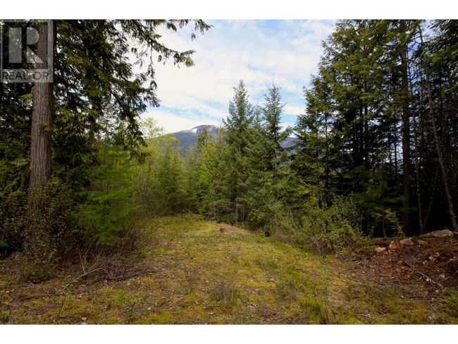 434 Lexington Ave, Home with 0 bedrooms, 0 bathrooms and null parking in Procter BC | Image 14