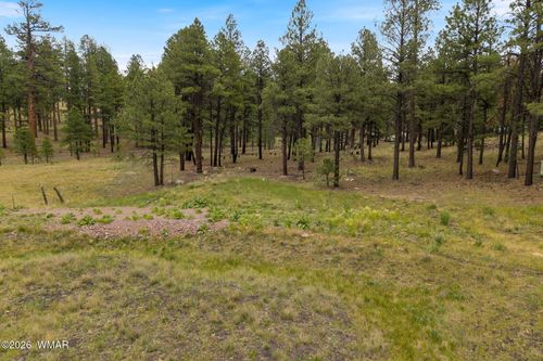 TBD County Rd 2121, Alpine, AZ, 85920 | Card Image