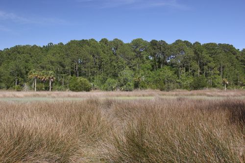 1789 Highway 41, Mount Pleasant, SC, 29466-8618 | Card Image