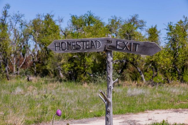 743 Welgehausen Rd, Home with 0 bedrooms, 0 bathrooms and null parking in Fredericksburg TX | Image 10