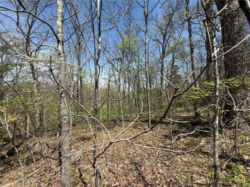 125 Jabin Farm Rd, Wright City, MO, 63390-1620 | Card Image