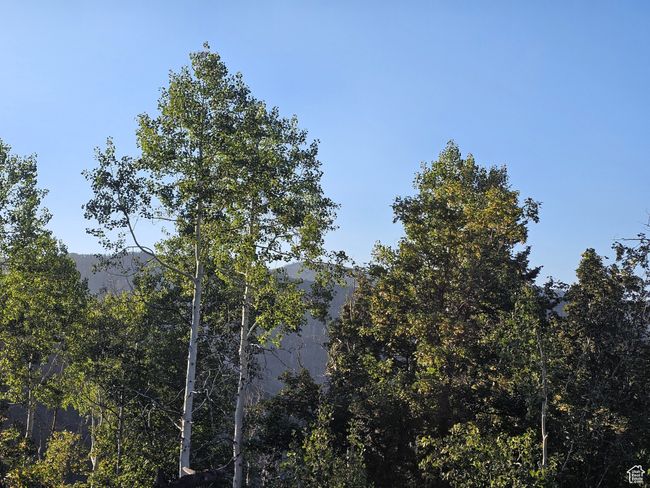 View of mountain feature | Image 9