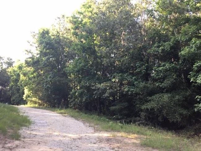 272 Artesian, Home with 0 bedrooms, 0 bathrooms and null parking in Onalaska TX | Image 4