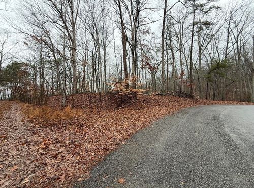 Lot #845 Stoneway Ct, White Pine, TN, 37890 | Card Image