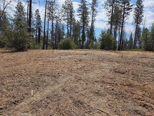 1090 Bald Rock Rd, Berry Creek, CA, 95916-9728 | Card Image