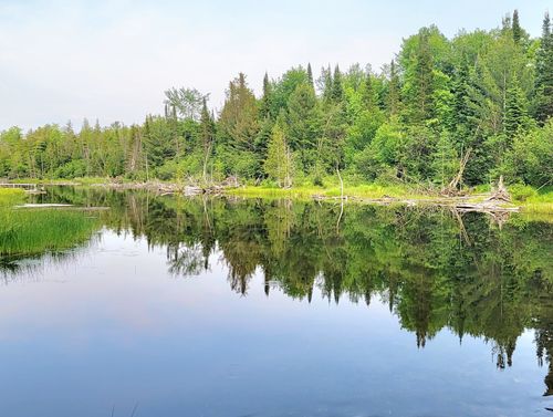 E & F Somich, Chestonia Township, MI, 49659 | Card Image