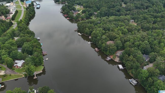 358 Muffit Dr, House other with 5 bedrooms, 4 bathrooms and null parking in Wedowee AL | Image 38
