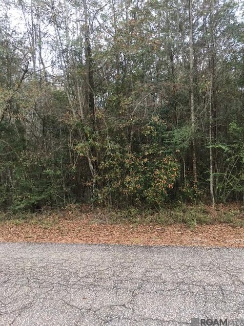 TBD Eunice St, Bogalusa, LA, 70427 | Card Image