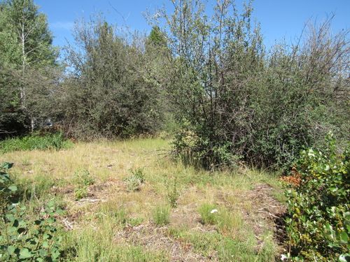 0 Forest View Dr, Chiloquin, OR, 97624 | Card Image