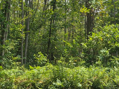 1220 Blue Hills Ave, Bloomfield, CT, 06002-1929 | Card Image