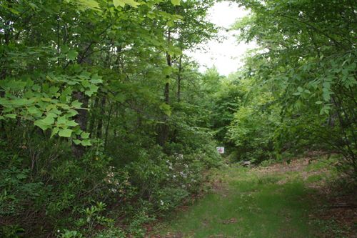 49-and-43-acres-TBD High Valley South, MONTEREY, VA, 24465 | Card Image