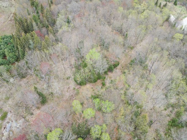 Lot 8 Lindsay Hill Road, Home with 0 bedrooms, 0 bathrooms and null parking in Parry Sound Remote Area ON | Image 9
