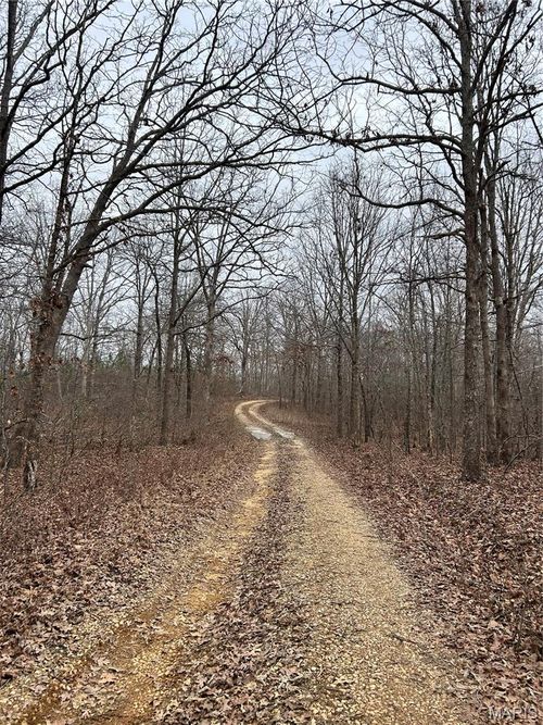 Highway T Forest Road 3697, Poplar Bluff, MO, 63901 | Card Image