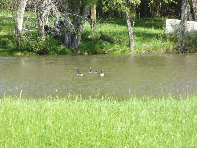 Land in Grants Pass 5