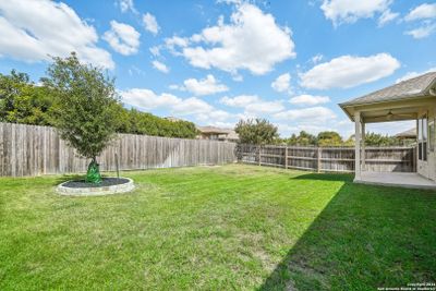 667 Trinity Mdw, House other with 3 bedrooms, 2 bathrooms and null parking in San Antonio TX | Image 2