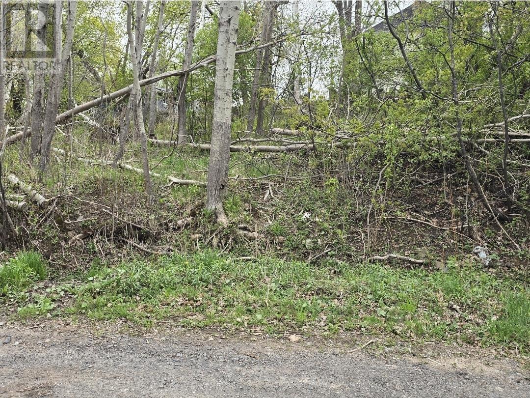Land in Trenton 3