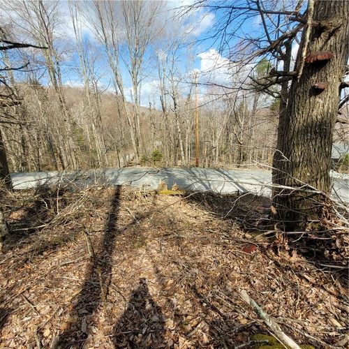 136-134-136 Wild Daisy Ln, Beech Mountain, NC, 28604-8241 | Card Image