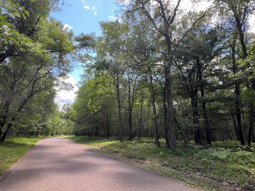 LOT 14 Loon Lake Rd, Danbury, WI, 54830-9518 | Card Image